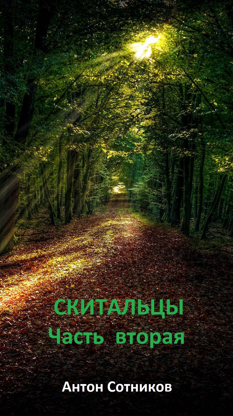 Обложка произведения Скитальцы. Часть вторая.