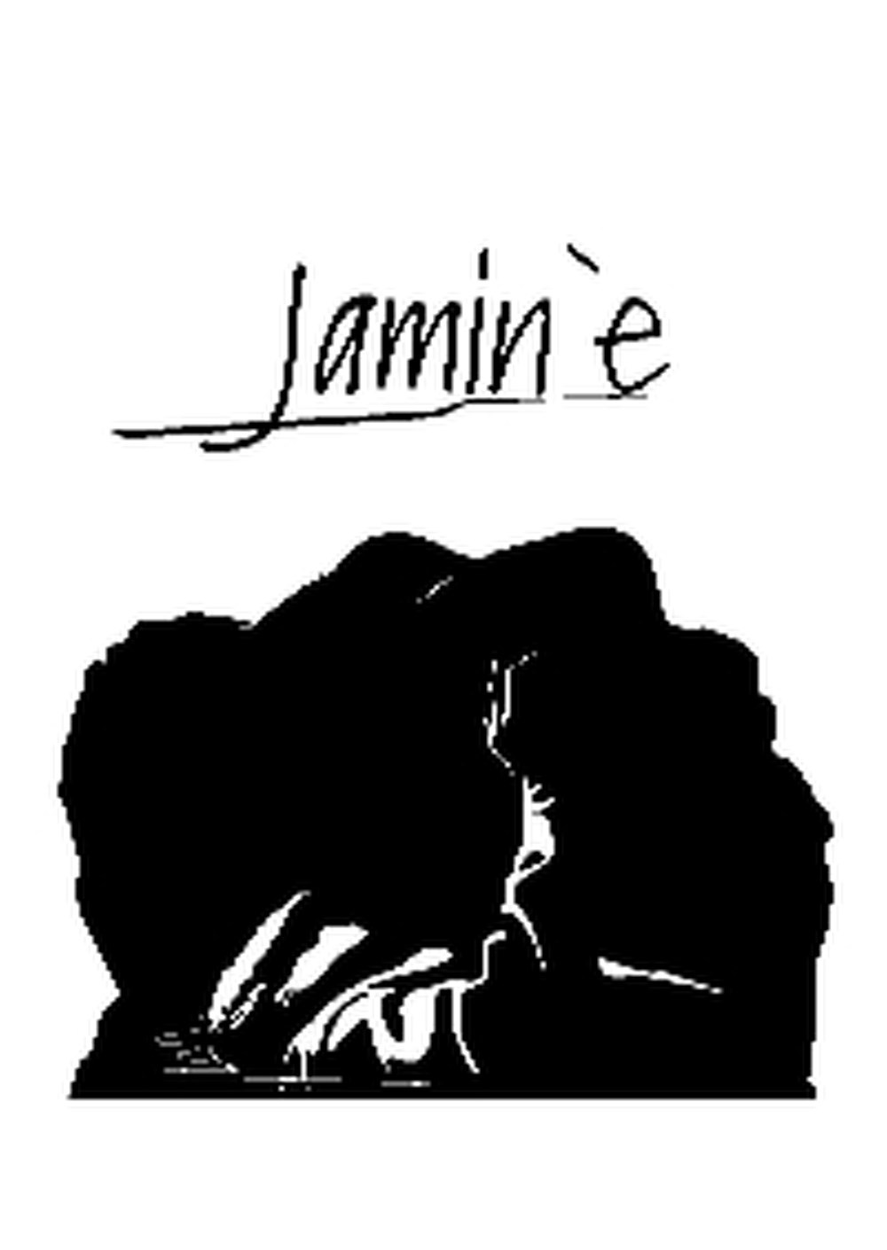 Обложка произведения Jamin'e