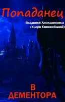 Обложка произведения Попаданец в дементора