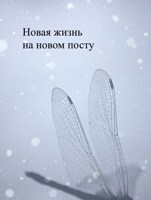 Обложка произведения Новая жизнь на новом посту