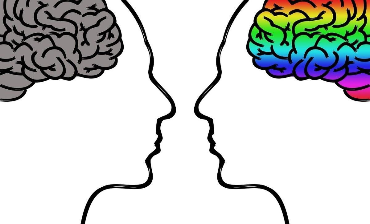 Обложка произведения Homo insipiens