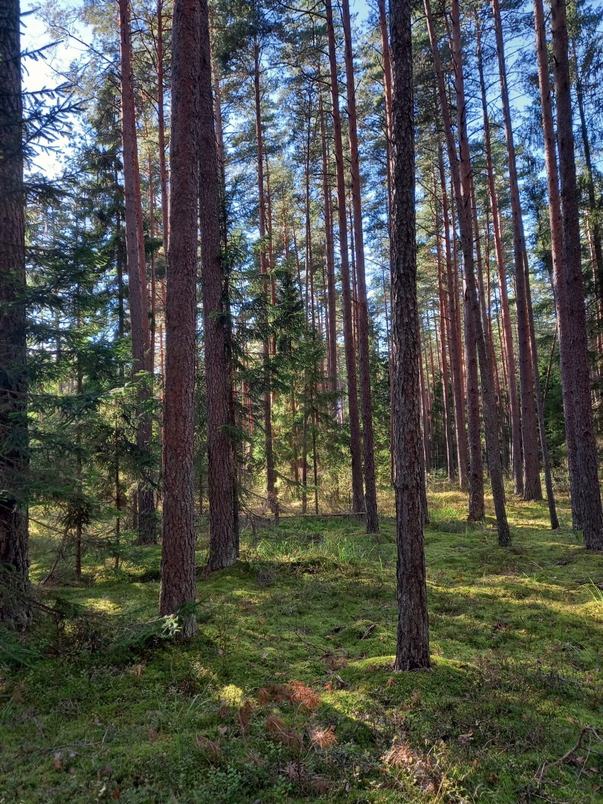 Обложка произведения Ты это умеешь...