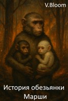 Обложка произведения История обезьянки Марши