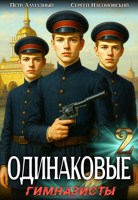 Обложка произведения Одинаковые. Том 2. Гимназисты
