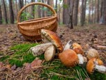 Обложка произведения Маленькая просьба