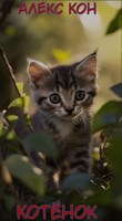 Обложка произведения Котёнок