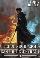 Обложка произведения Жизнь вопреки 4. Каменные джунгли