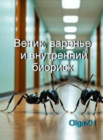 Обложка произведения Веник, варенье и внутренний биориск
