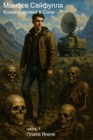 Обложка произведения Командировка в Сочи. Часть 1. Плато Ягеля.