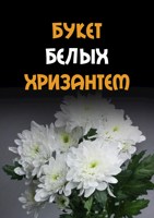 Обложка произведения Букет белых хризантем
