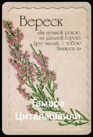 Обложка произведения Вереск