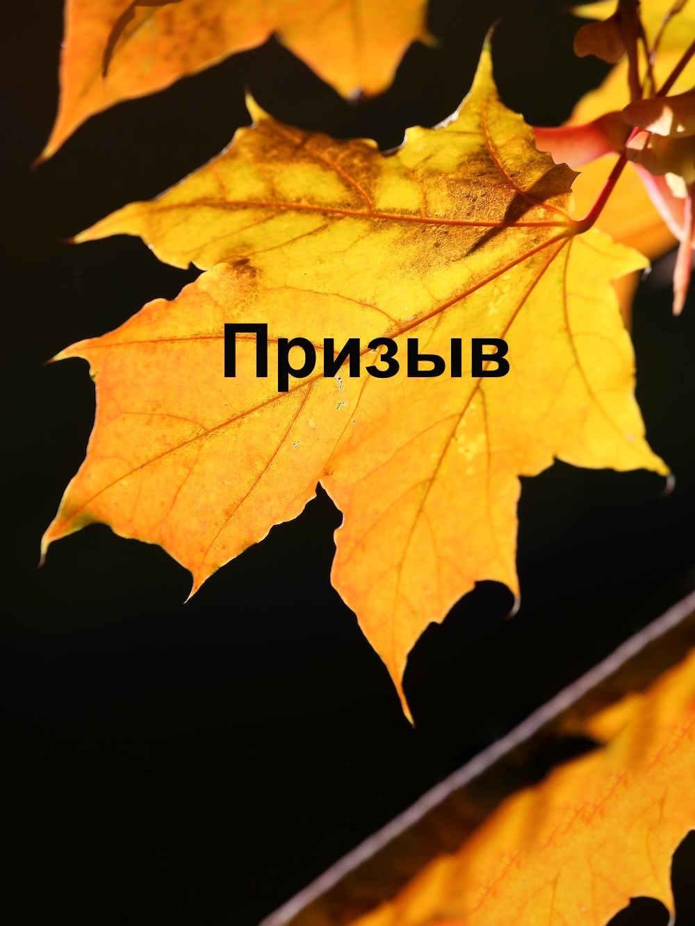 Обложка произведения Призыв