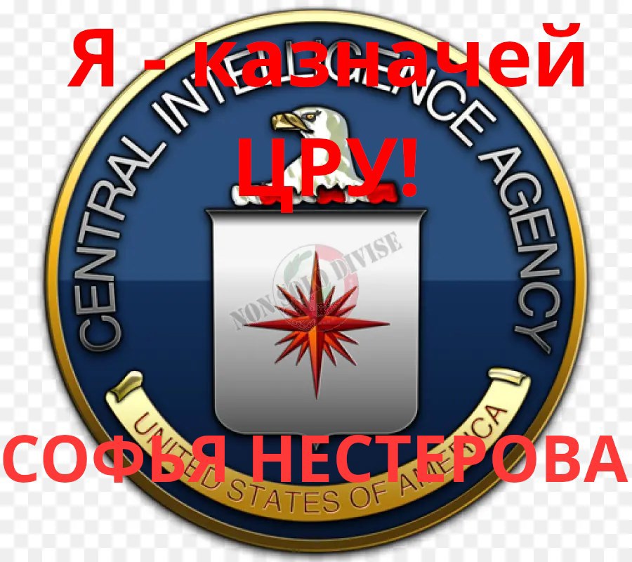 Обложка произведения Я - казначей ЦРУ