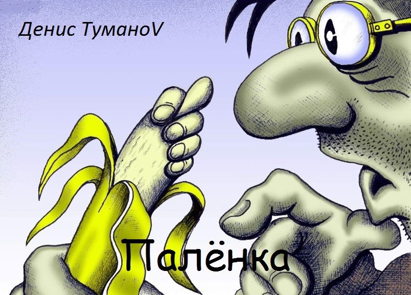 Обложка произведения Палёнка
