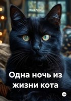 Обложка произведения Одна ночь из жизни кота