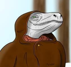 Дигамма
