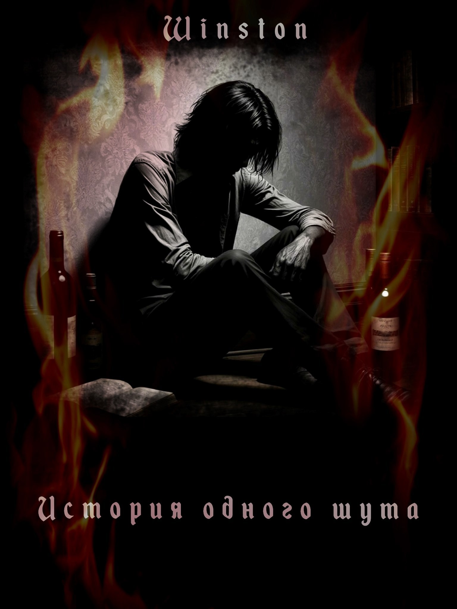 Обложка произведения История одного шута