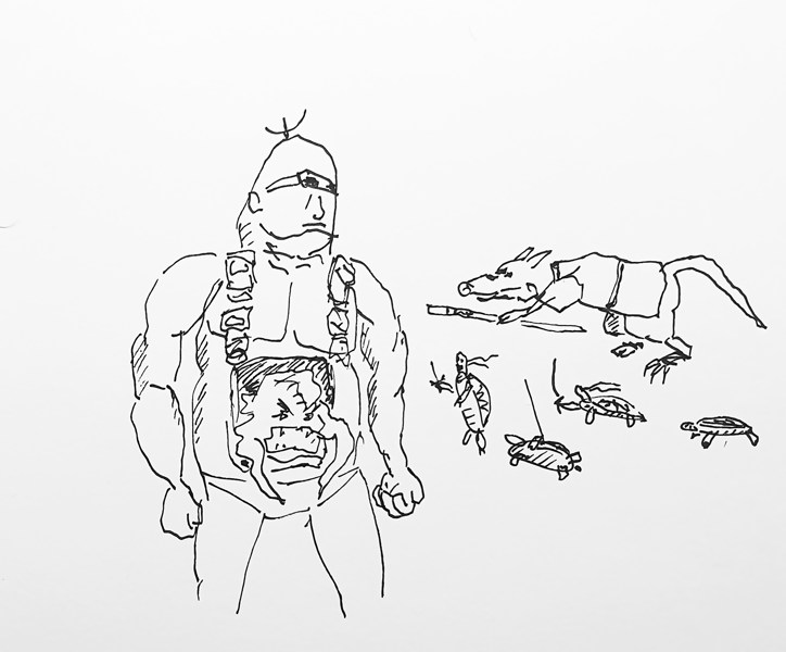 Иллюстрация