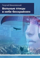 Обложка произведения Вольные птицы в небе бескрайнем