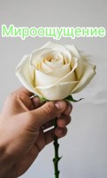 Обложка произведения Мироощущение