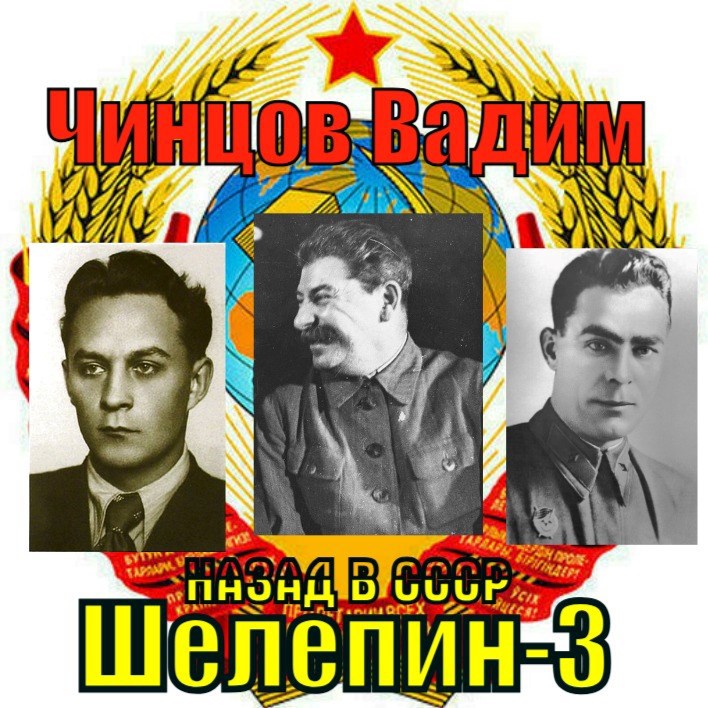 Обложка произведения Назад в СССР. Шелепин-3.
