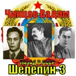 Обложка произведения Назад в СССР. Шелепин-3.