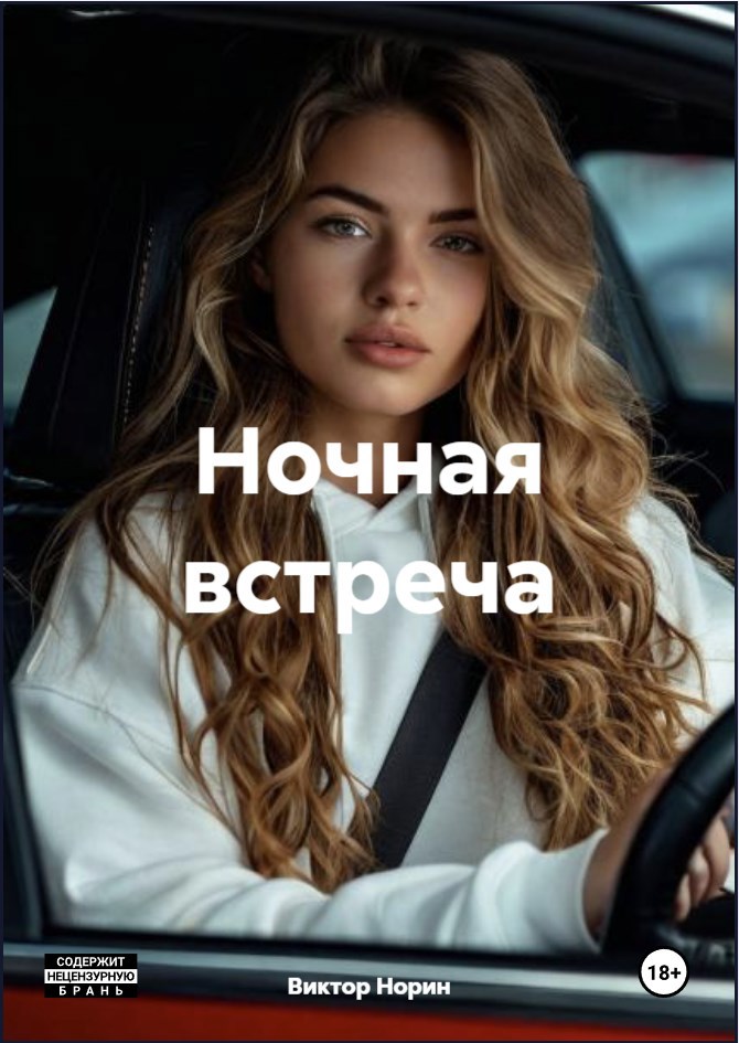 Обложка произведения Ночная встреча