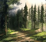 Обложка произведения Первый шаг