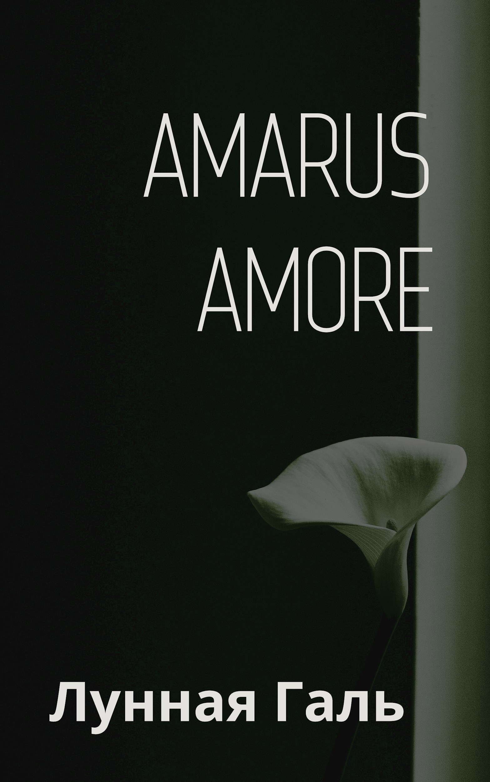 Обложка произведения Amarus Amore