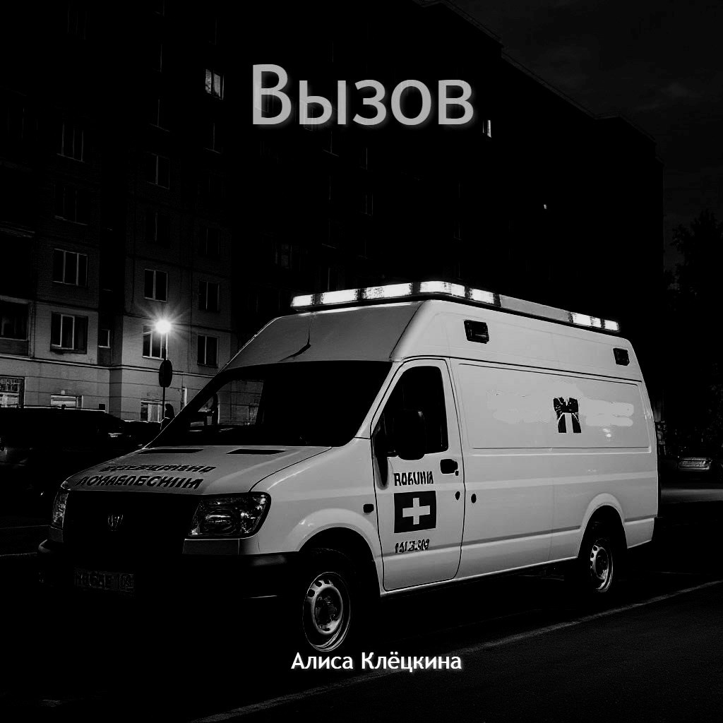 Обложка произведения Вызов