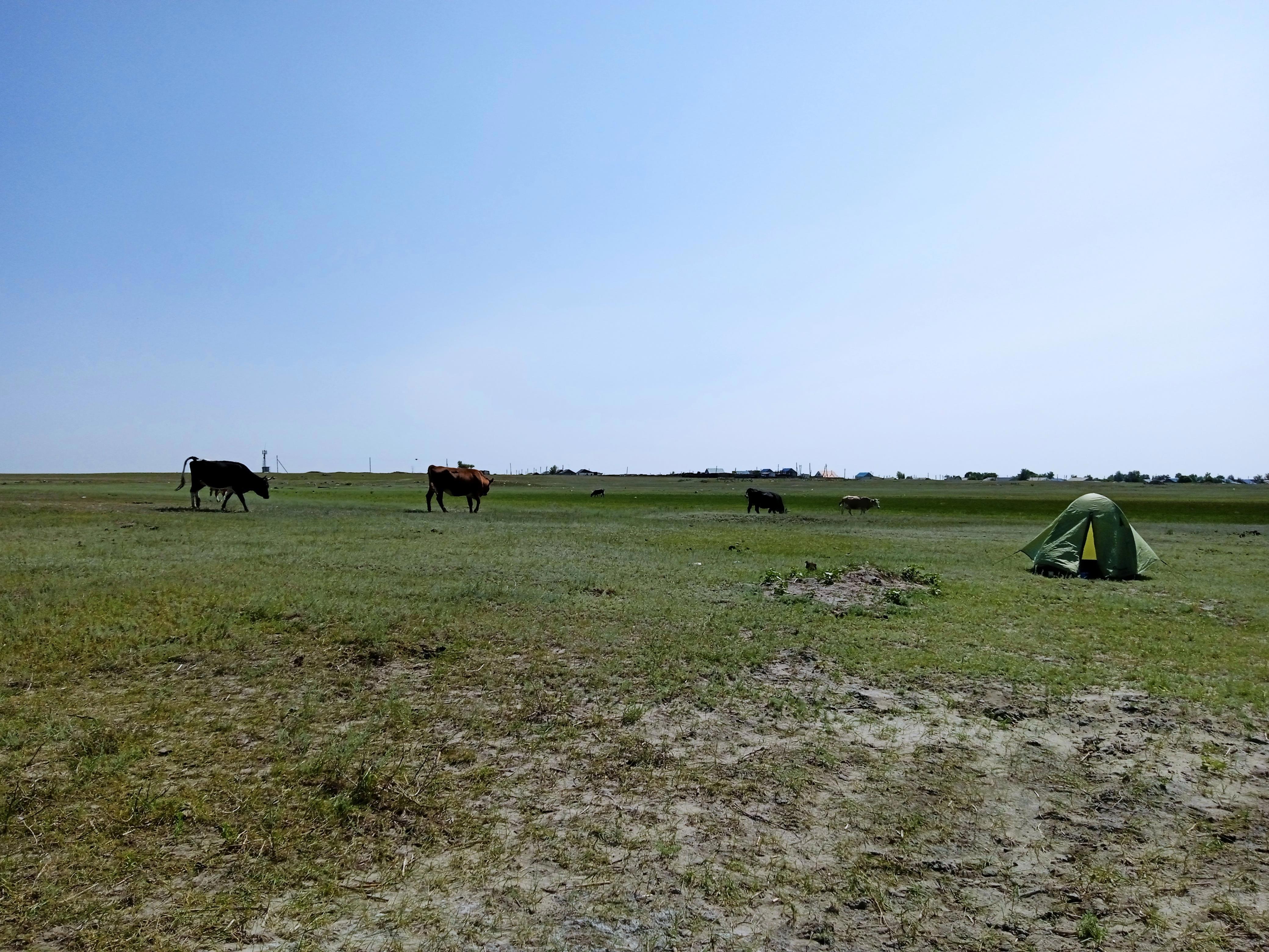 Друзья, хочу поделиться с вами очередной главой моего путешествия! - Виктор Агеев-Полторжицкий