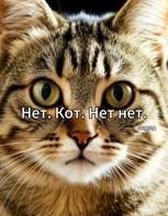 Обложка произведения Нет. Кот. Нет нет.