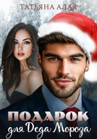 Обложка произведения Подарок для Деда Мороза (4)