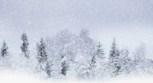 Обложка произведения Трудное решение