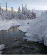 Обложка произведения Партийное замужество.