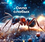 Обложка произведения Сила слабых