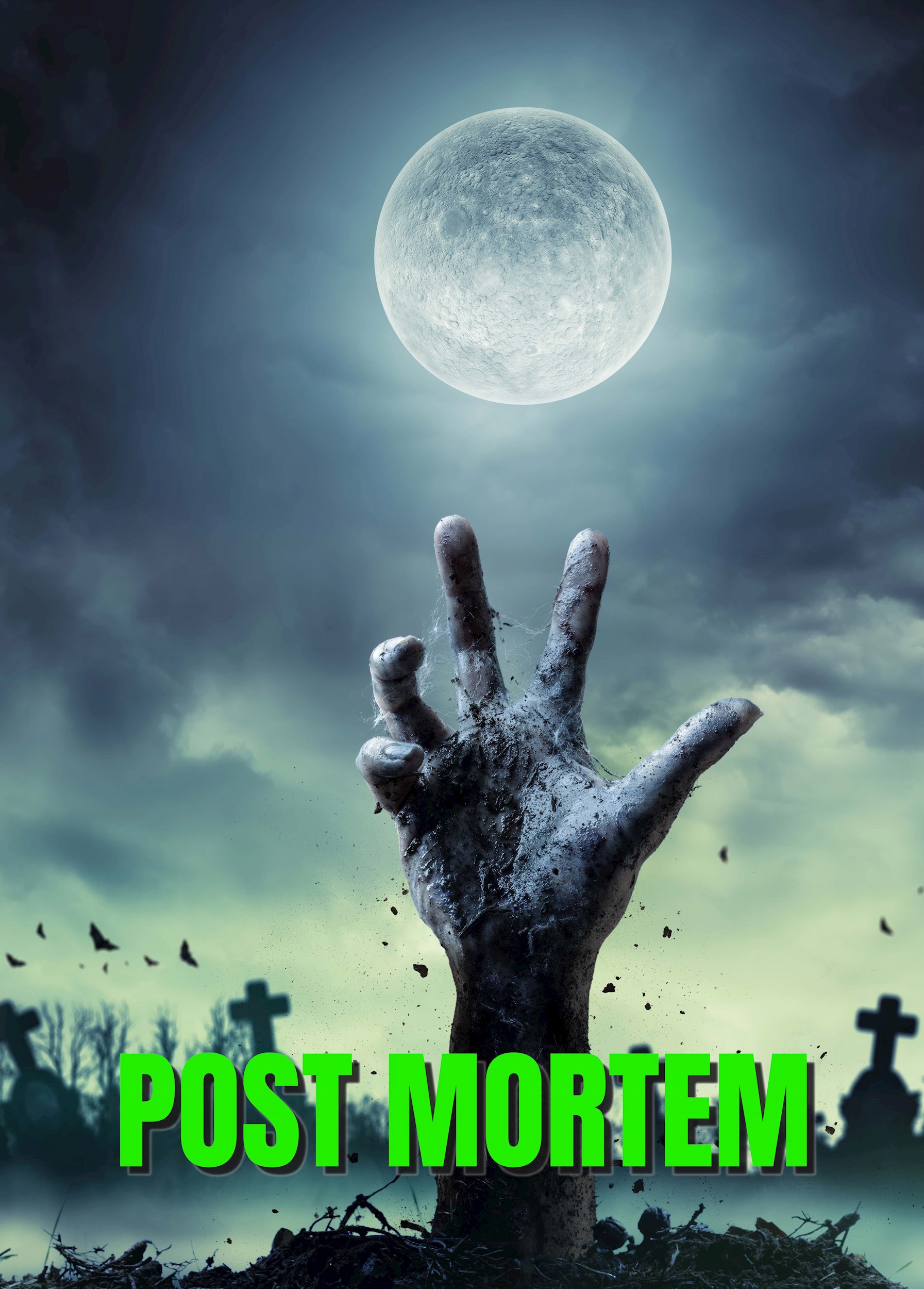 Обложка произведения Post mortem