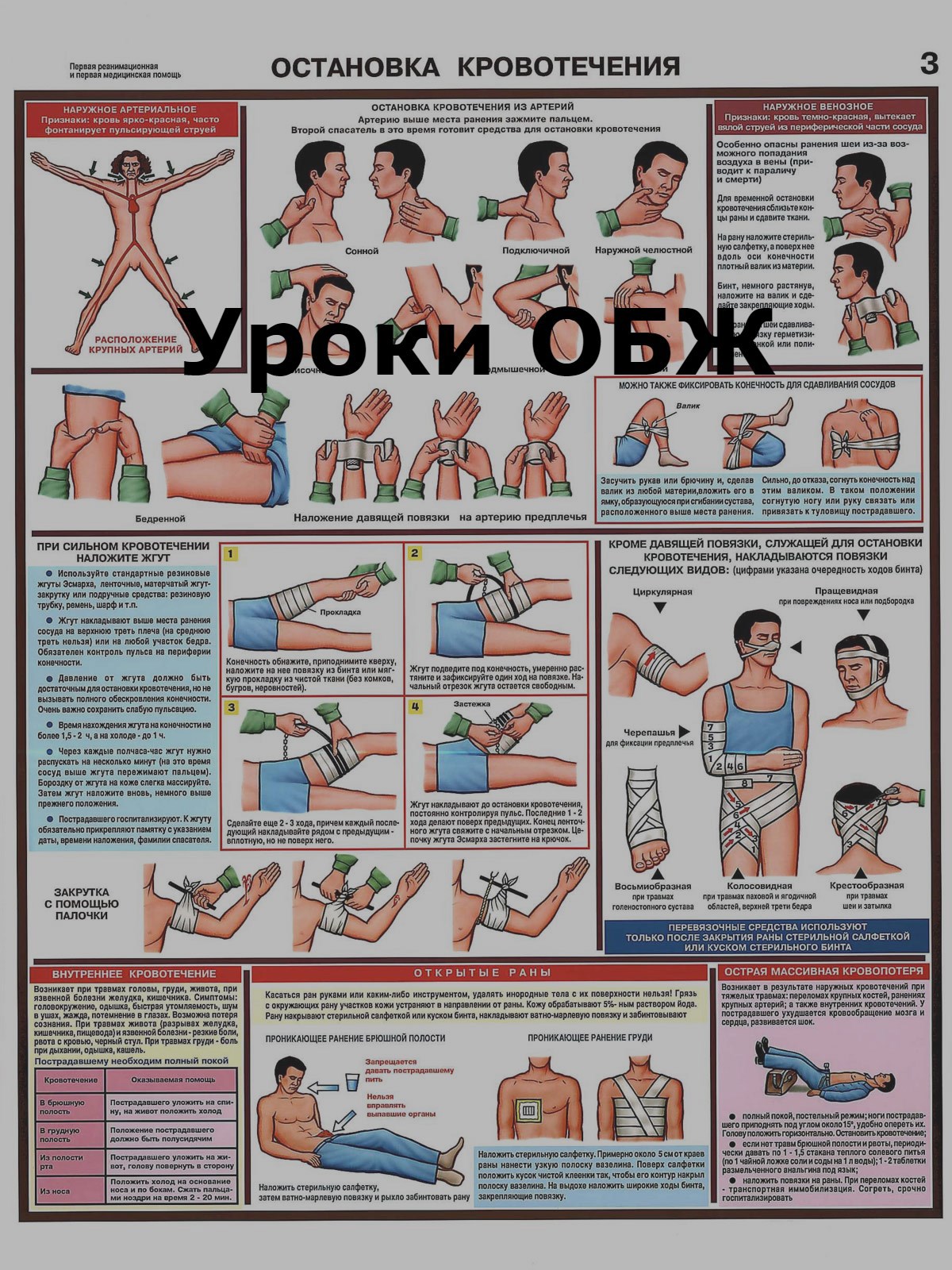 Обложка произведения Уроки ОБЖ