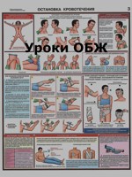 Обложка произведения Уроки ОБЖ