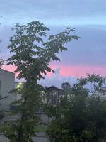 Обложка произведения Где-то, но не здесь