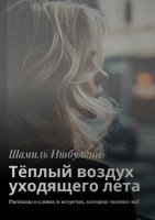 Обложка произведения Тёплый воздух уходящего лета