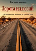 Обложка произведения Дорога иллюзий