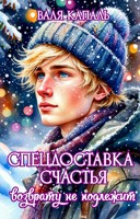 Обложка произведения Спецдоставка счастья. Возврату не подлежит
