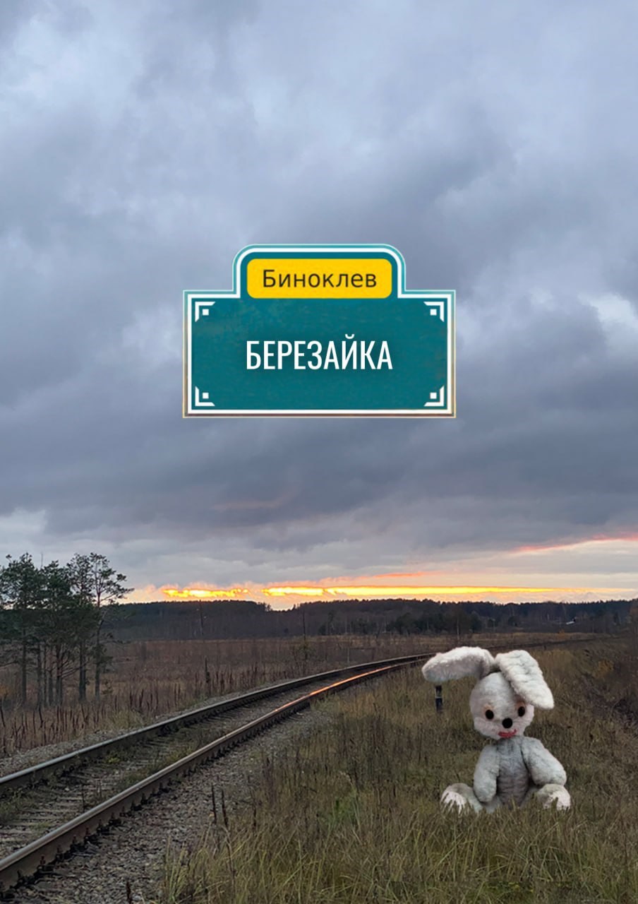 Обложка произведения Березайка