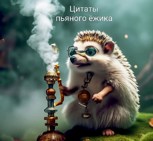 Обложка произведения Цитаты пьяного ёжика.