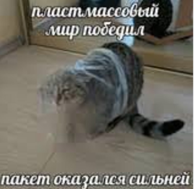 Обложка произведения Пластик