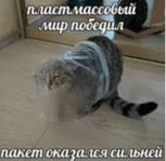 Обложка произведения Пластик