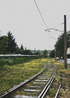 Обложка произведения Организмы бытия