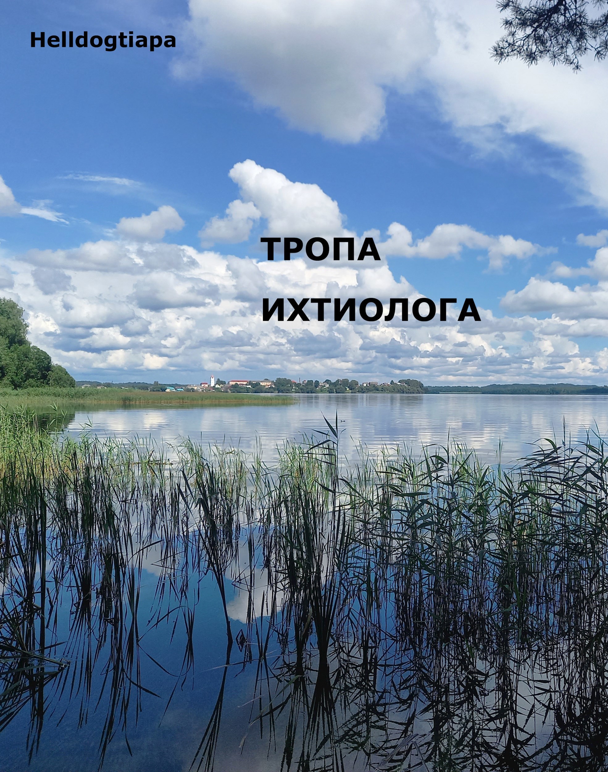 Обложка произведения Тропа ихтиолога