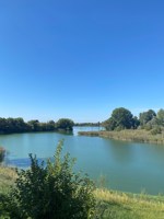 Обложка произведения Пока не ушло лето